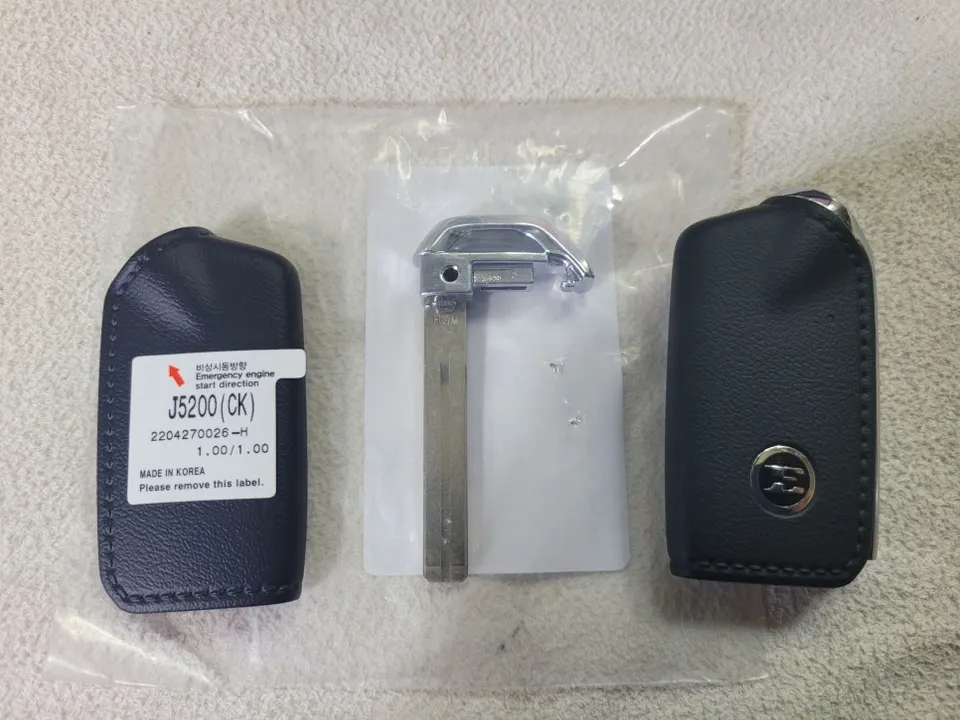 Kia K900 oem options installation result
