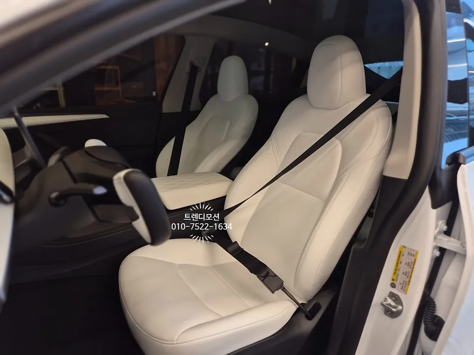 Tesla Model Y interior customization - Tesla Model Y Interior Customization Review — Color Seatbelts photo 3