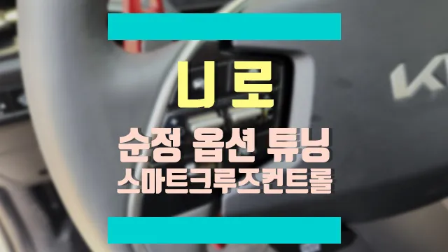 Kia Niro SG2 oem options review