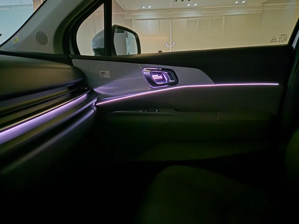 Kia Carnival Ambient Lighting Review — Enhanced OEM Integration photo 4
