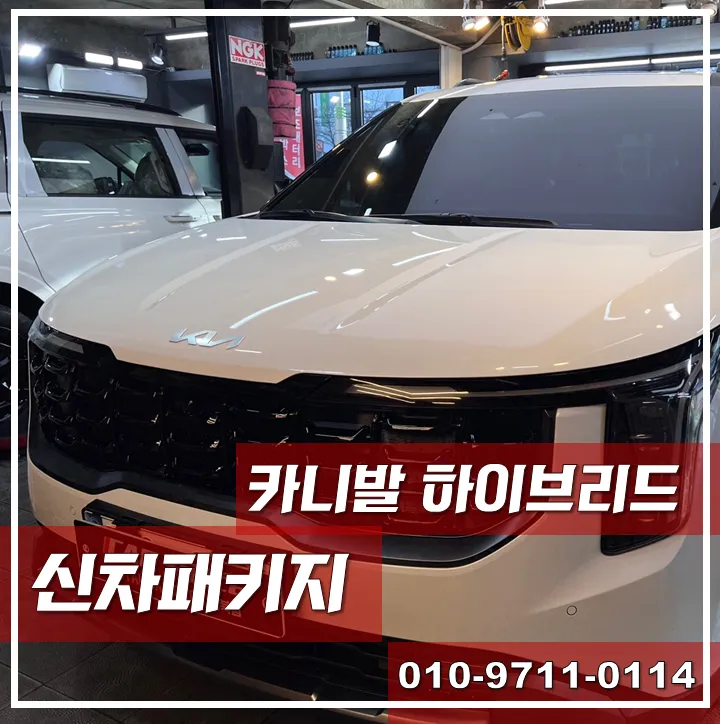 Kia Carnival Hybrid new car package installation result