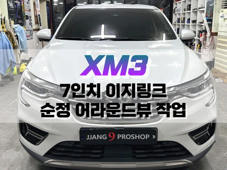 Renault Korea XM3 Surround View Camera Upgrade Review