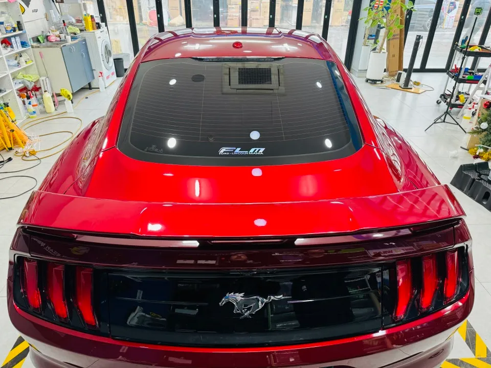 Ford Mustangのカーラッピング事例|バイパーラインで個性を演出 施工写真 1-2