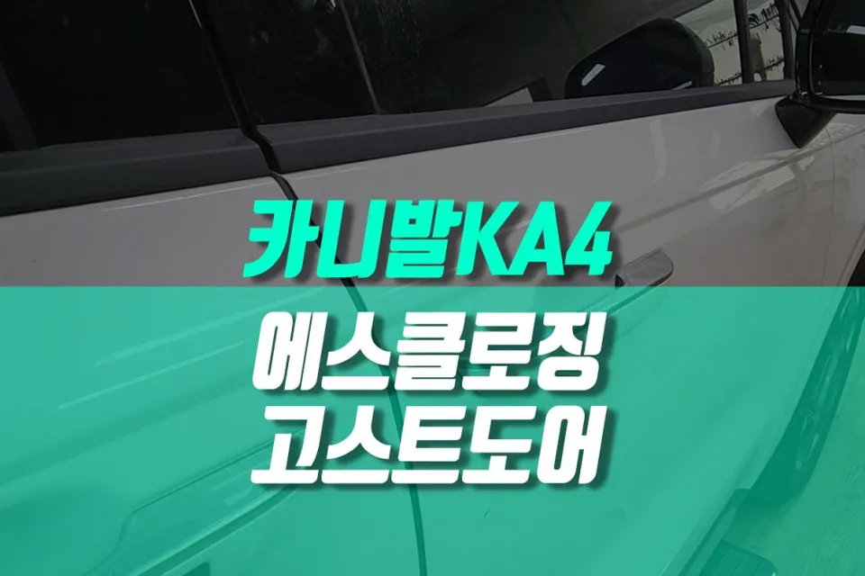 Kia Carnival KA4 oem options installation result