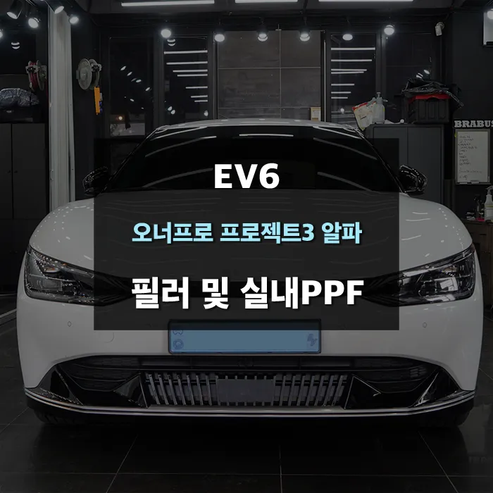Kia EV6 ppf review