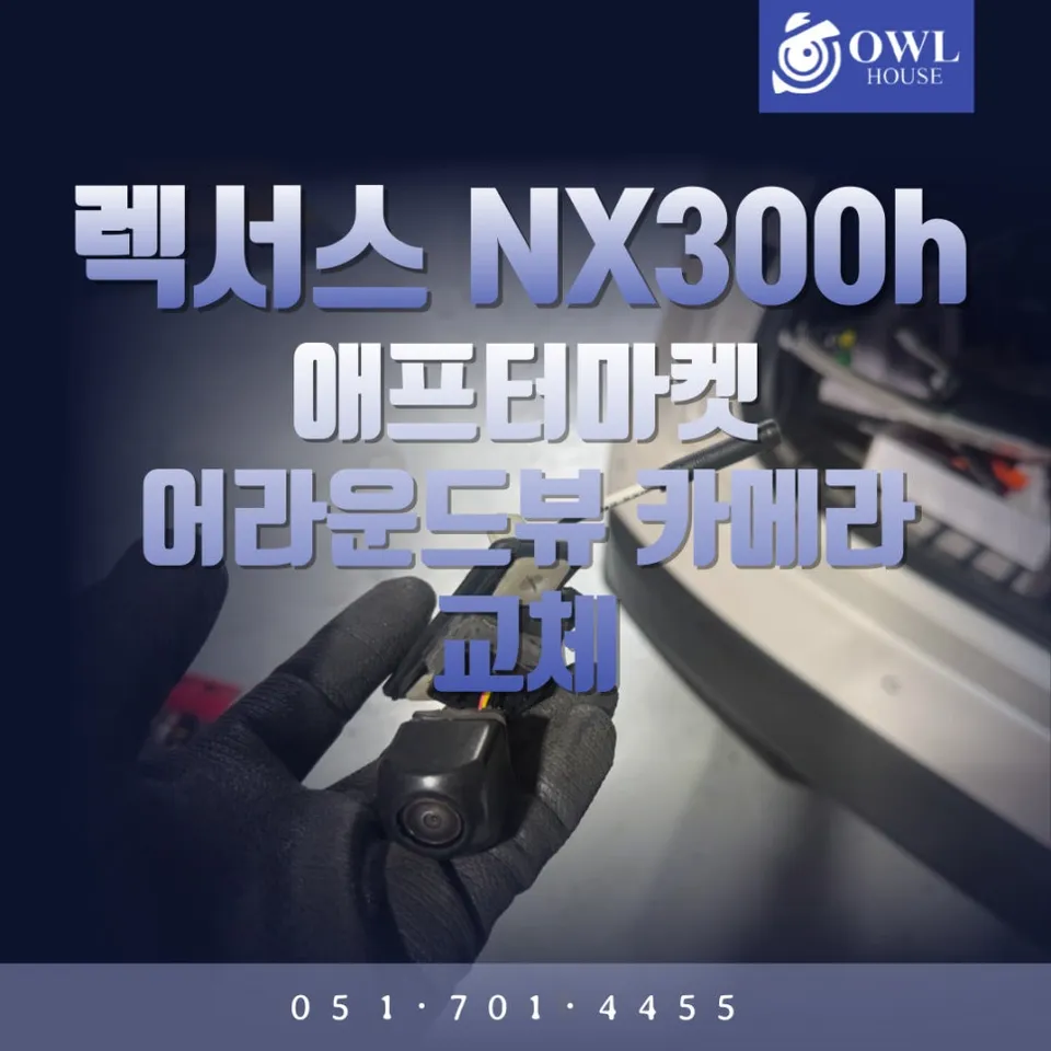 Lexus NX 300h surround view camera installation result