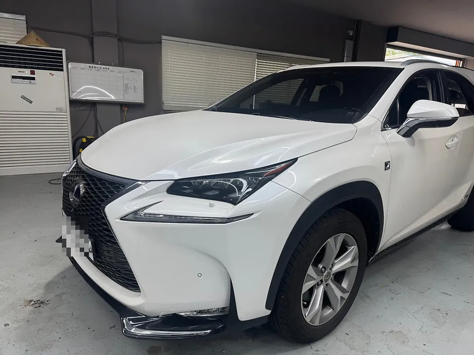 Lexus NX 300h Surround View Camera Review: Cost & Results Before