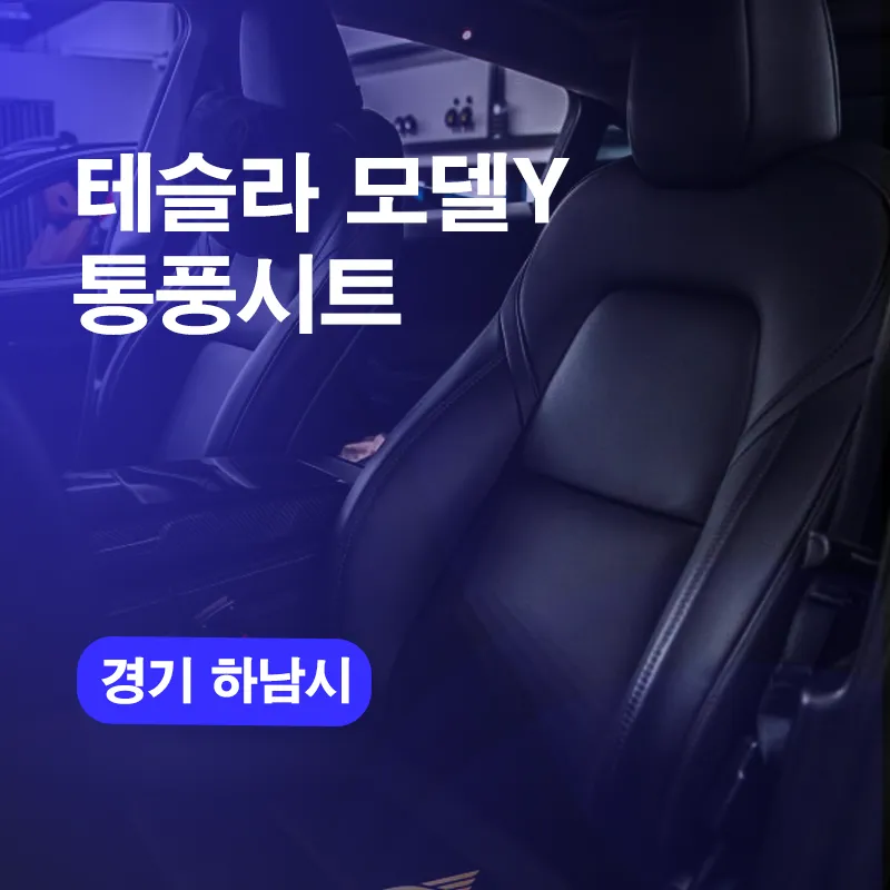 Tesla Model Y Ventilated Seats Review — Enhanced Comfort photo 1