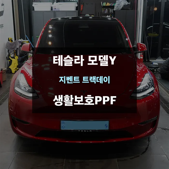 Tesla Model Y ppf review