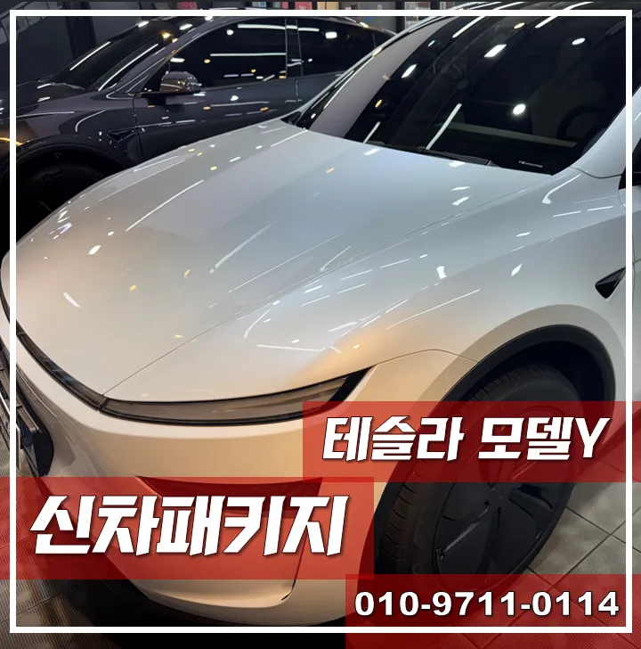 Tesla Model Y new car package installation result