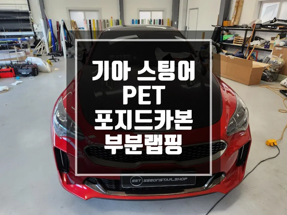 Kia Stinger vinyl wrap installation result