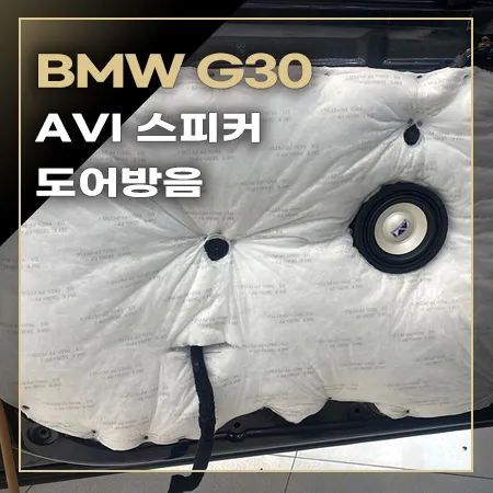 BMW 5 Series G30のカーオーディオ施工事例 写真