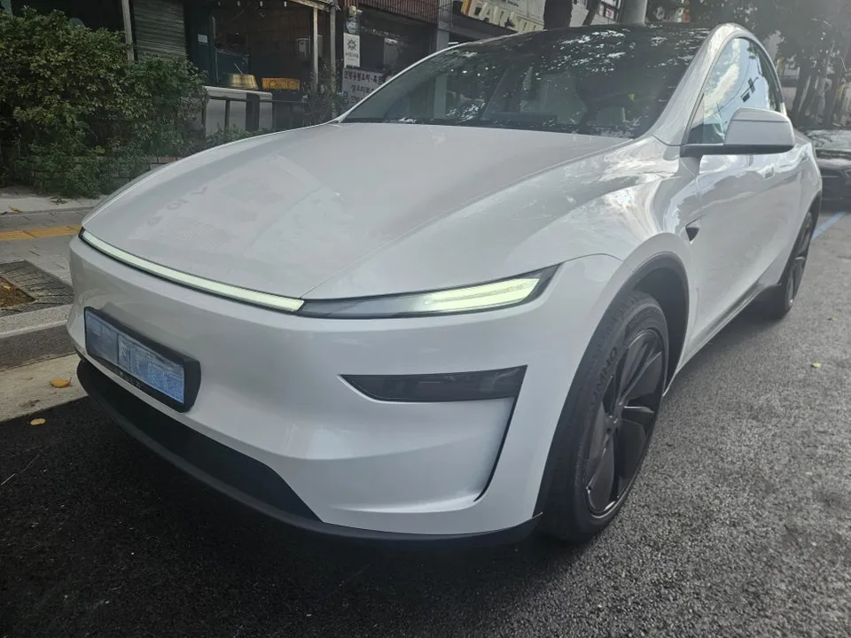 Tesla Model Y New Car Protection Package Review Before