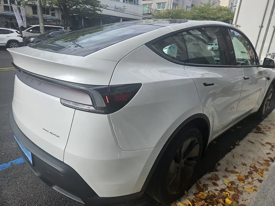 Tesla Model Y new car package - Tesla Model Y New Car Protection Package Review photo 4