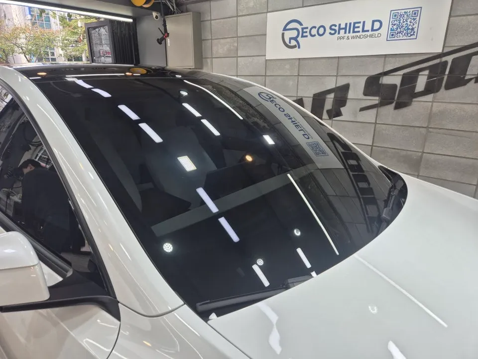 Tesla Model Y New Car Protection Package Review After