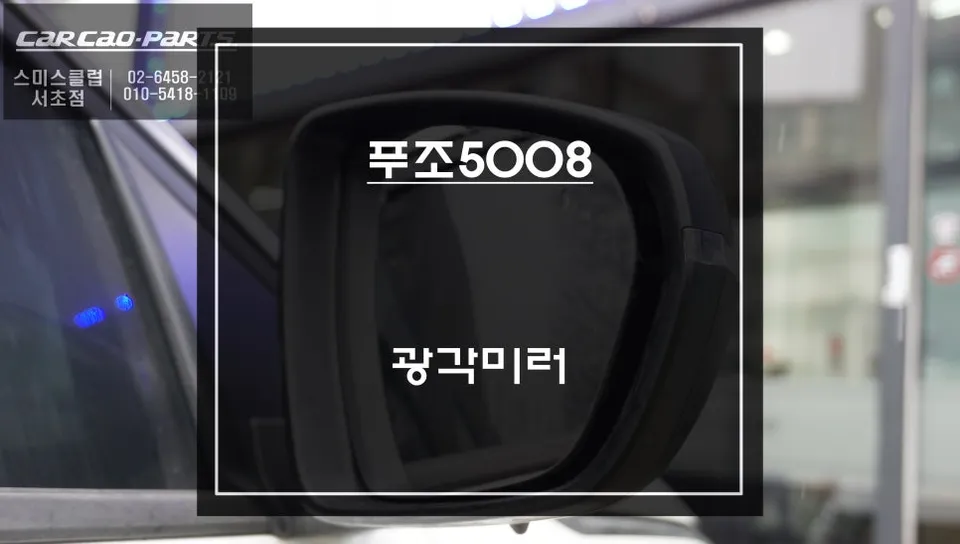Peugeot 5008 oem options installation result