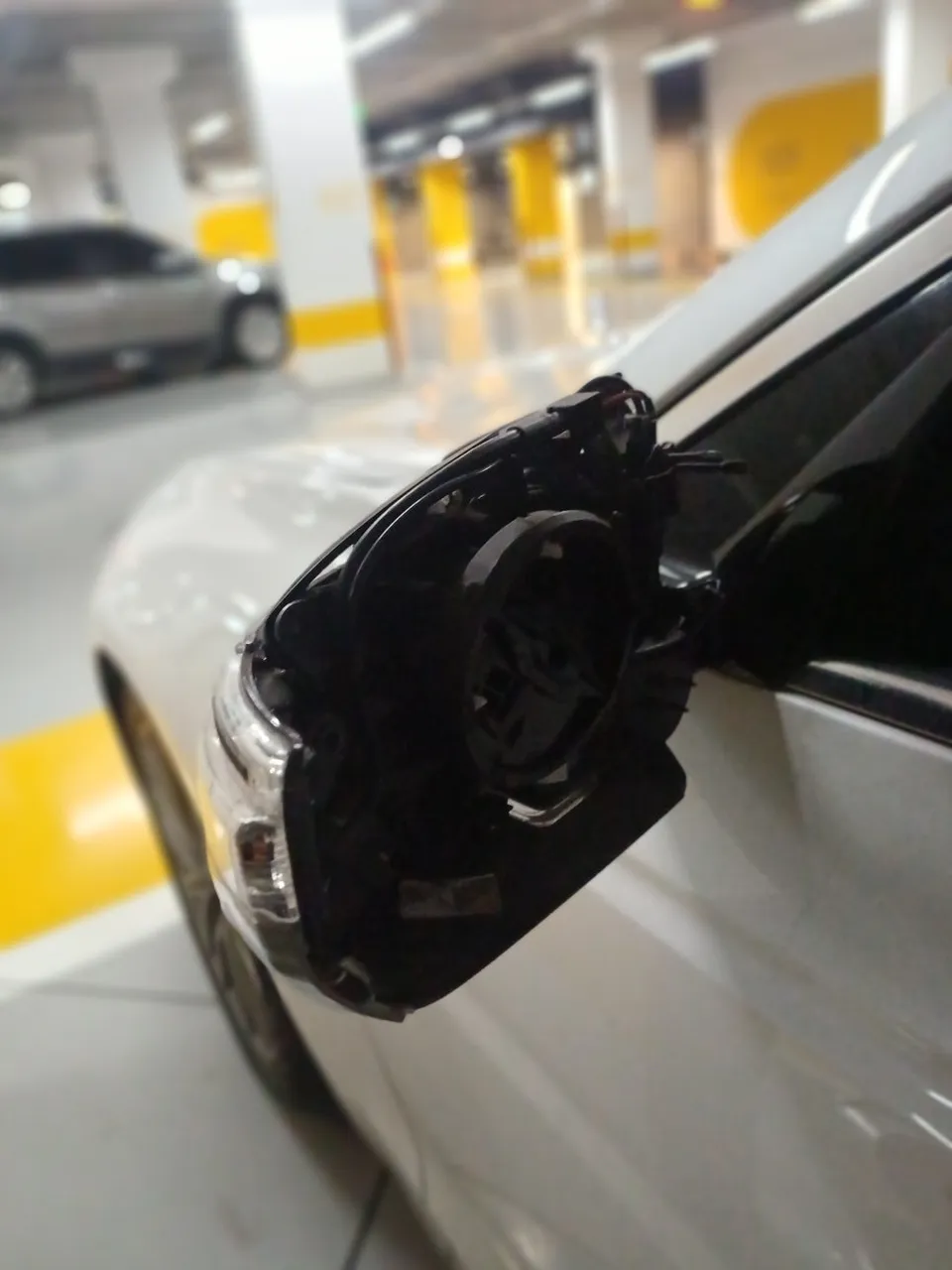 Kia K900 other - Kia K900 Auto Service Review — White Mirror Cover to Black photo 4