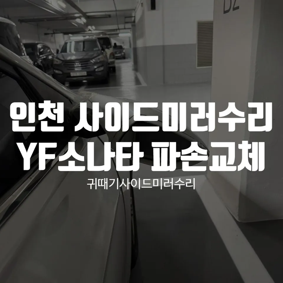Hyundai Sonata Side Mirror Repair Review - Expert Service