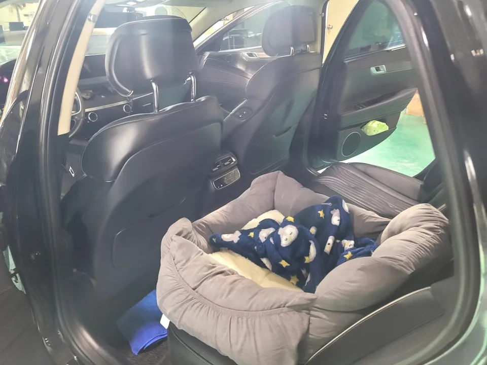 Genesis G80 other - Genesis G80 Other Car Service Review — Enhanced Features photo 3
