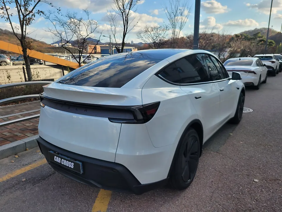 Tesla Model Y PPF施工事例｜費用目安と仕上がり 施工写真 3-1