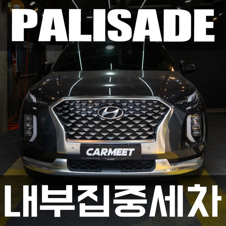 Hyundai Palisade paint correction installation result
