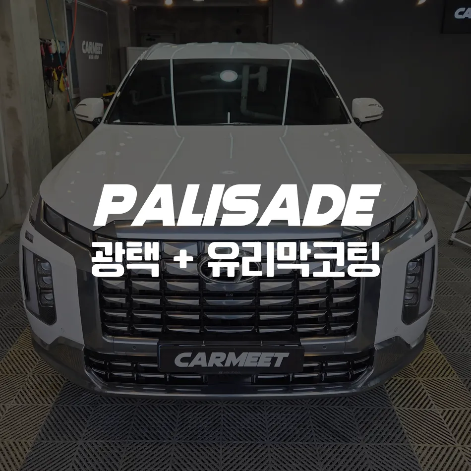 Hyundai Palisade ceramic coating installation result