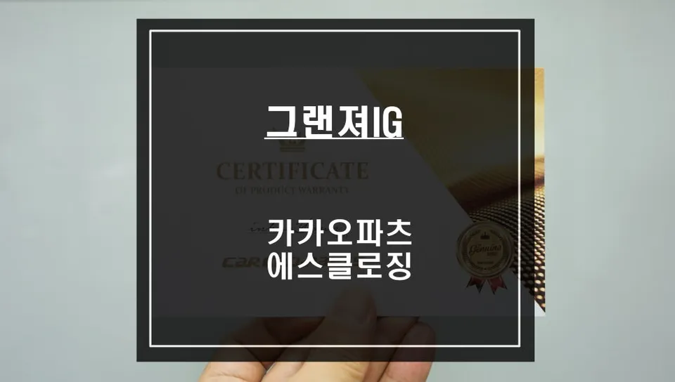 Genesis Grandeur IG oem options review