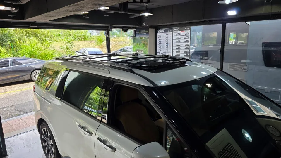 Kia Carnival 4th Gen ambient lighting - Kia Carnival 4th Gen Ambient Lighting Review: Cost & Results photo 3