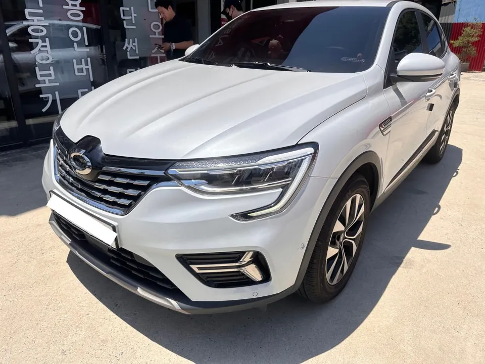 Renault XM3 OEM Options Review — Installation Cost & Results