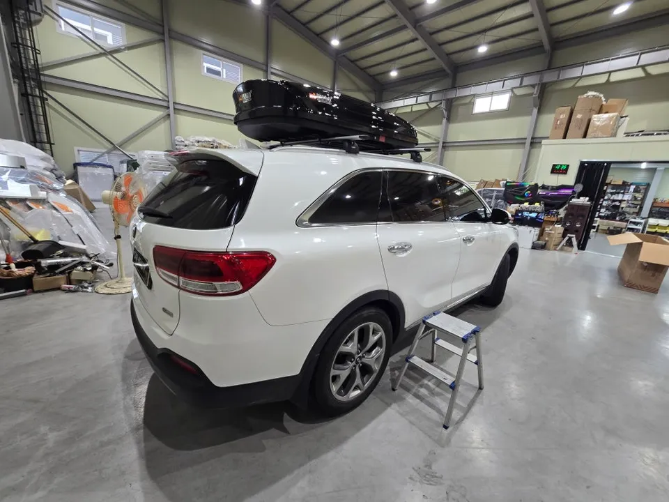 Kia Sorento ambient lighting - Kia Sorento Ambient Lighting Review: Cost & Results photo 4