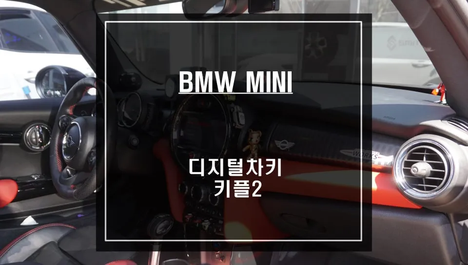 BMW MINI oem options review