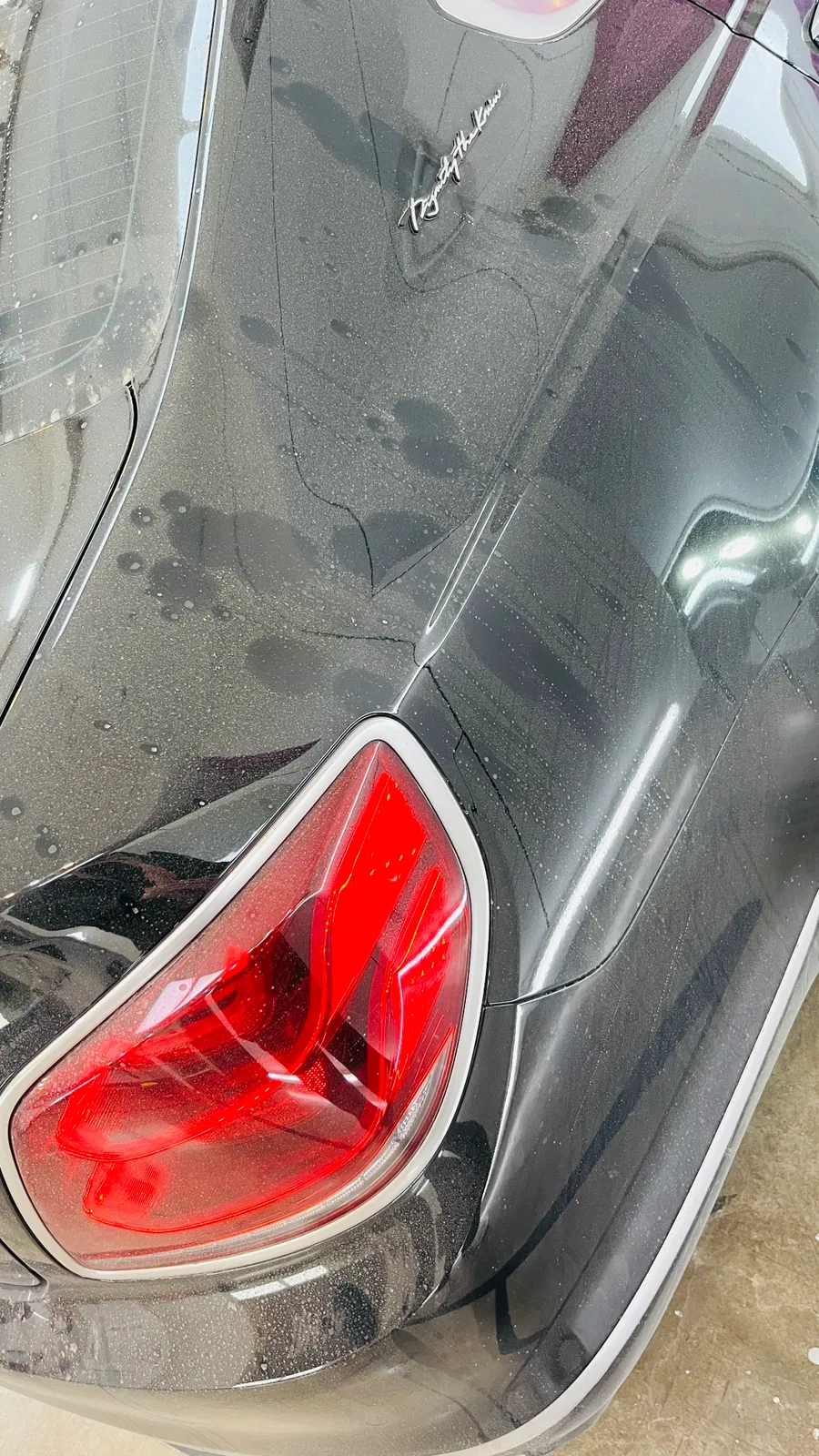 Kia K900 ppf - Kia K900 Paint Protection Film Review — Ultimate Chip Defense photo 3