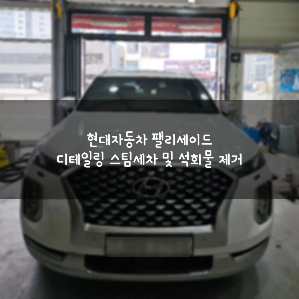 Hyundai Palisade ceramic coating installation result
