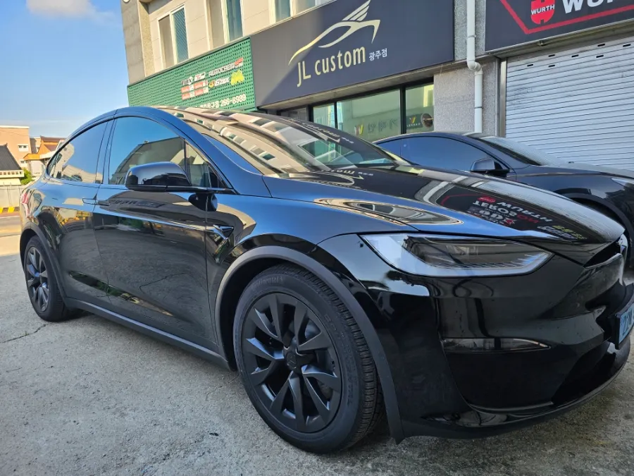 Tesla Model X window tinting review