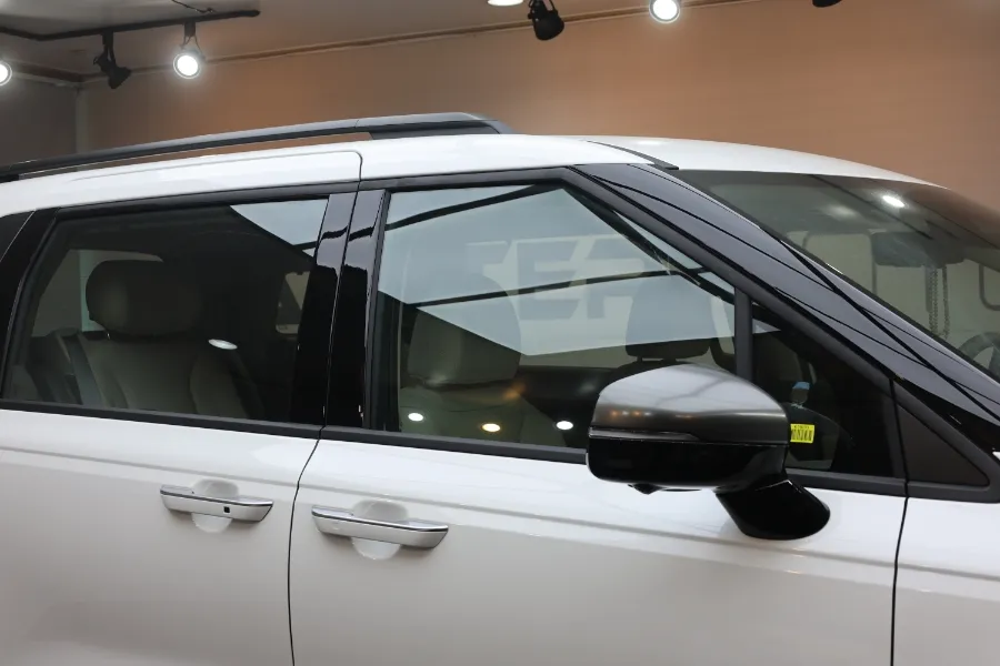 Kia Carnival PPF施工事例｜韓国での実例と費用目安 施工写真 1-2