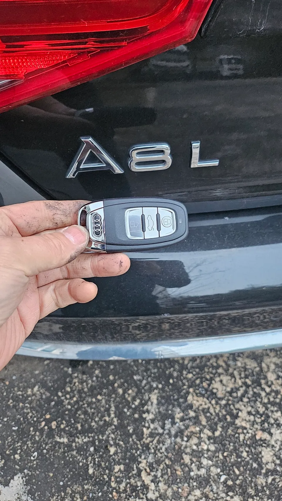 Audi A8 oem options installation result