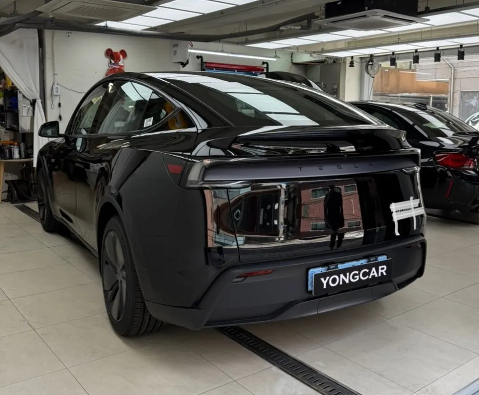 Tesla Model Y PPF施工事例|無光ジュニパーカラーの魅力 施工写真 3-1