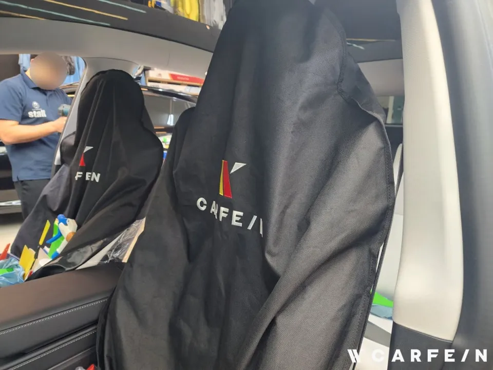 Tesla Model Y New Car Protection Package Review photo 13