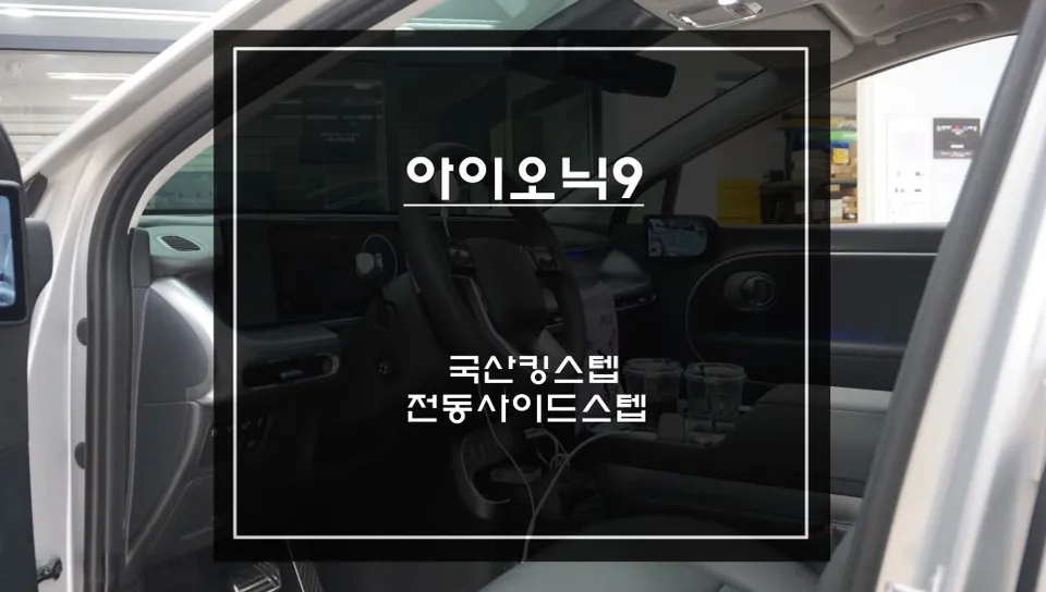 Hyundai IONIQ Electric Side Step Car Service Review — Enhanced Ac