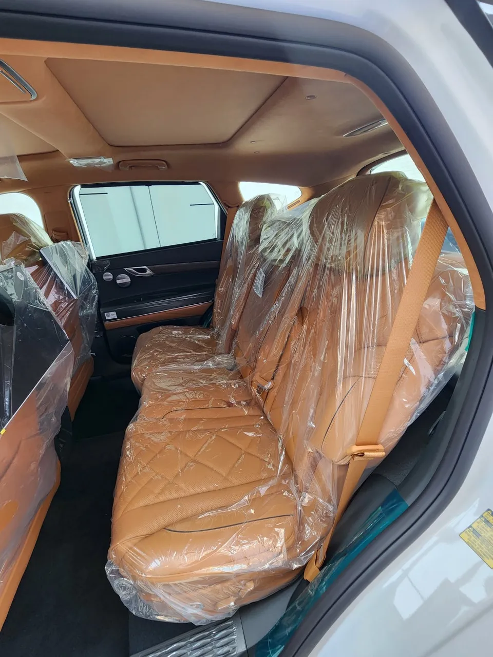 Genesis GV80 PPF施工事例|無光フィルムで個性を演出 施工写真 2-3