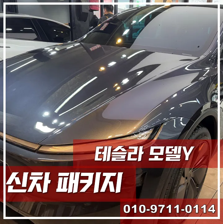 Tesla Model Y new car package installation result