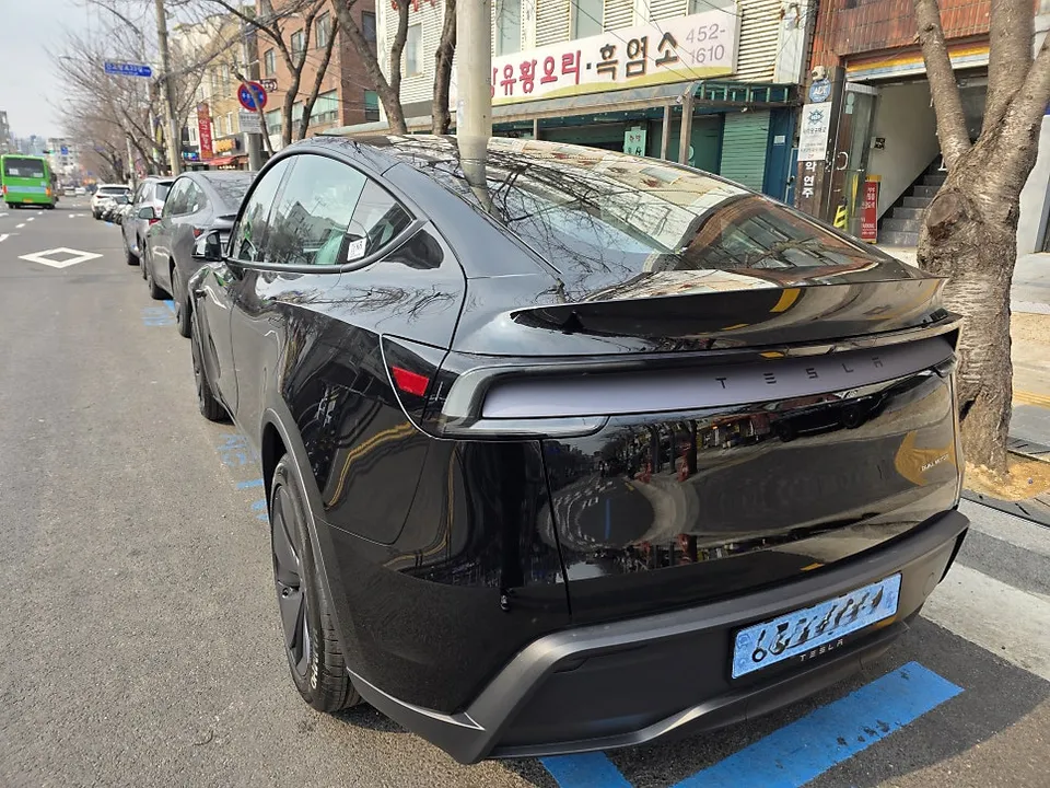 Tesla Model Y new car package - Tesla Model Y New Car Protection Package Review photo 3