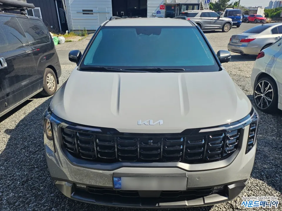 Kia Carnival KA4 ambient lighting installation result