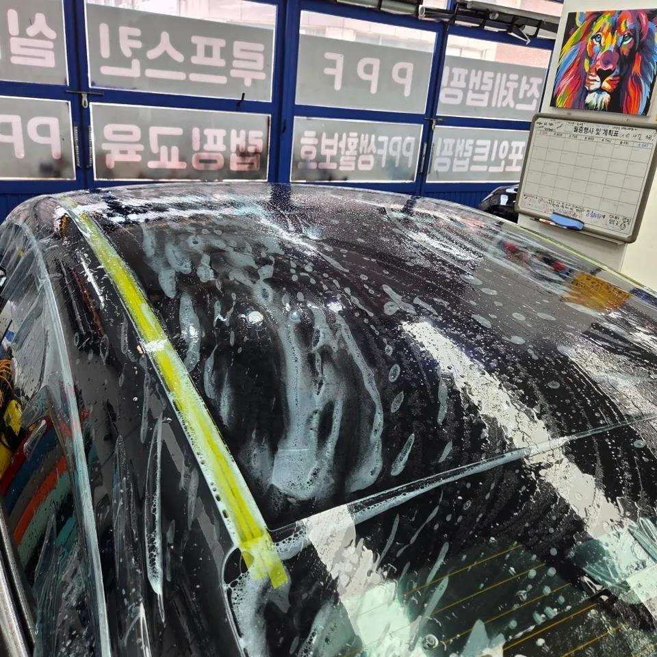 Porsche Taycan 4S PPF Review: Heat Rejection & Protection photo 5