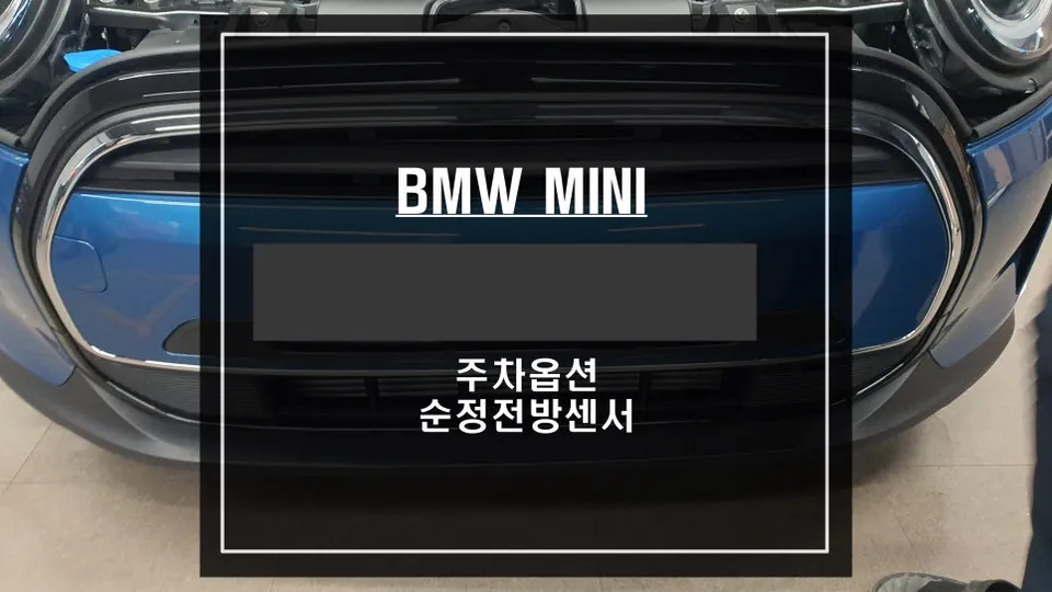 BMW MINI oem options review