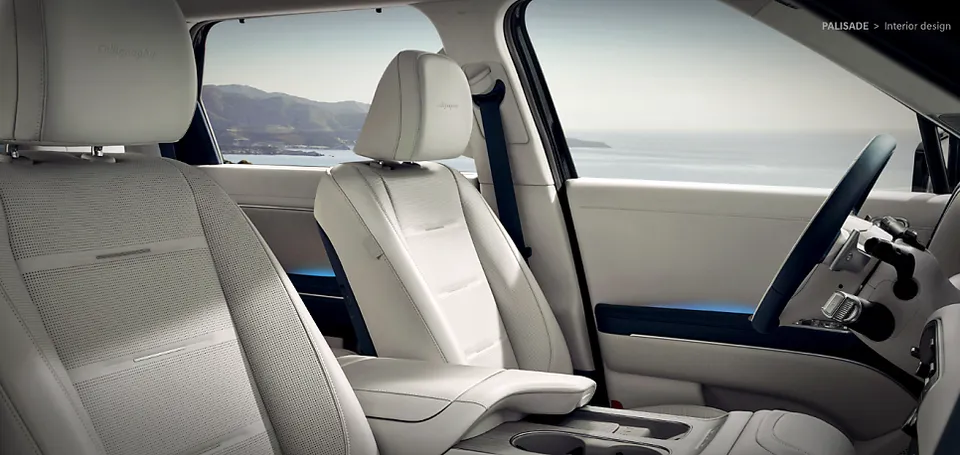 Hyundai Palisade interior customization - Hyundai Palisade Interior Customization Review: Cost & Results photo 3
