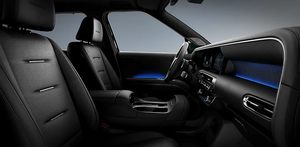 Hyundai Palisade interior customization - Hyundai Palisade Interior Customization Review: Cost & Results photo 4