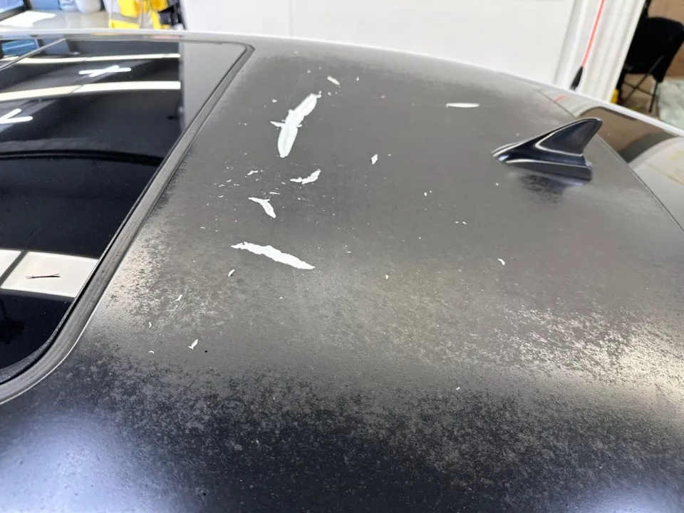 Chevrolet Impalaのカーラッピング事例|費用目安・仕上がり 施工写真 2-1