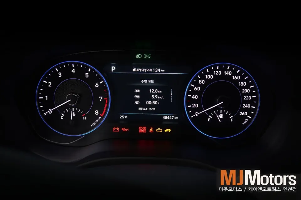 Hyundai Palisade oem options - Hyundai Palisade 12.3-Inch LCD Cluster Upgrade Review photo 3