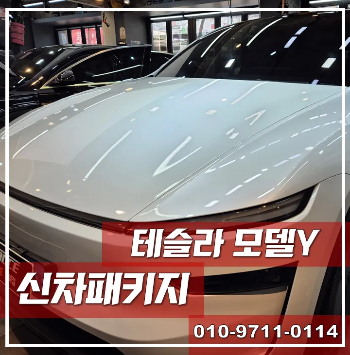 Tesla Model Y new car package installation result